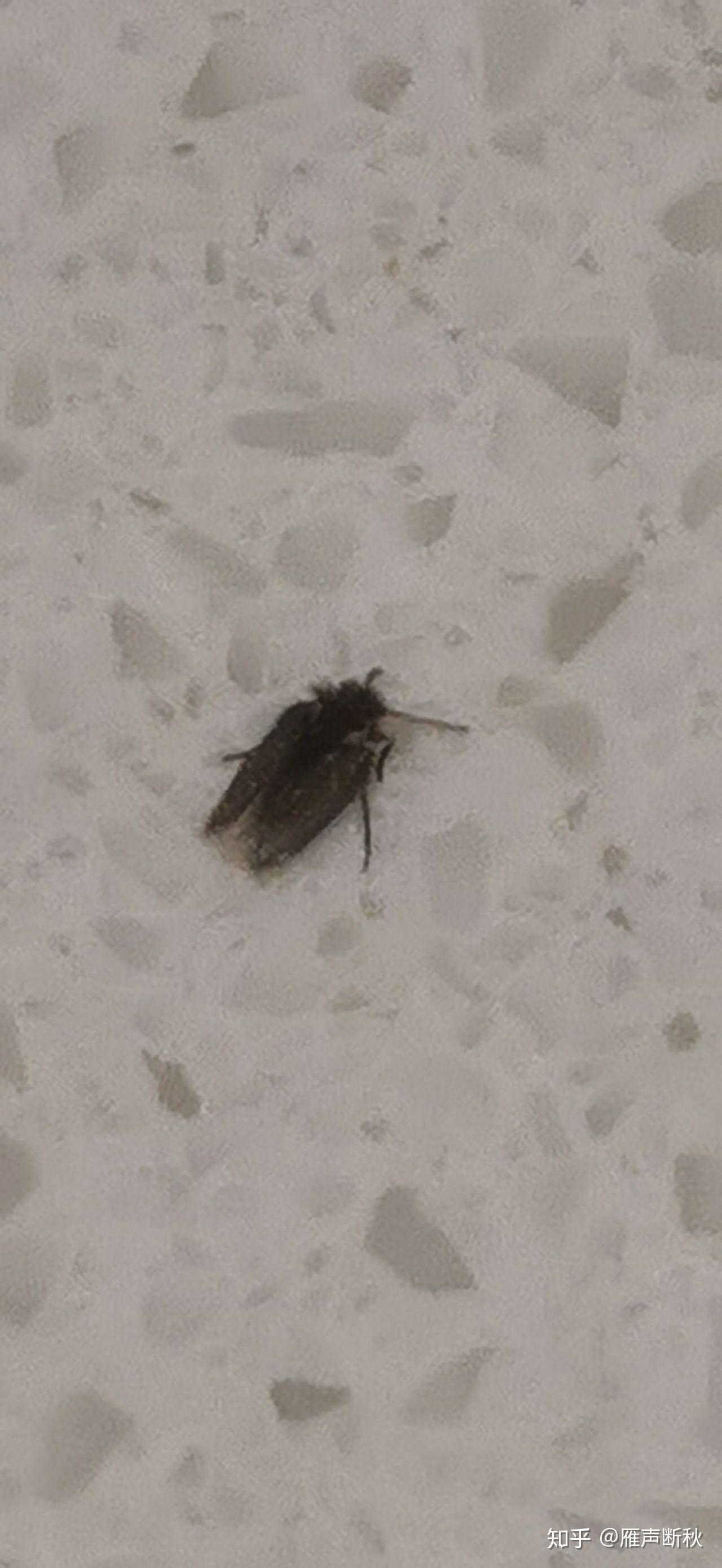 第255页